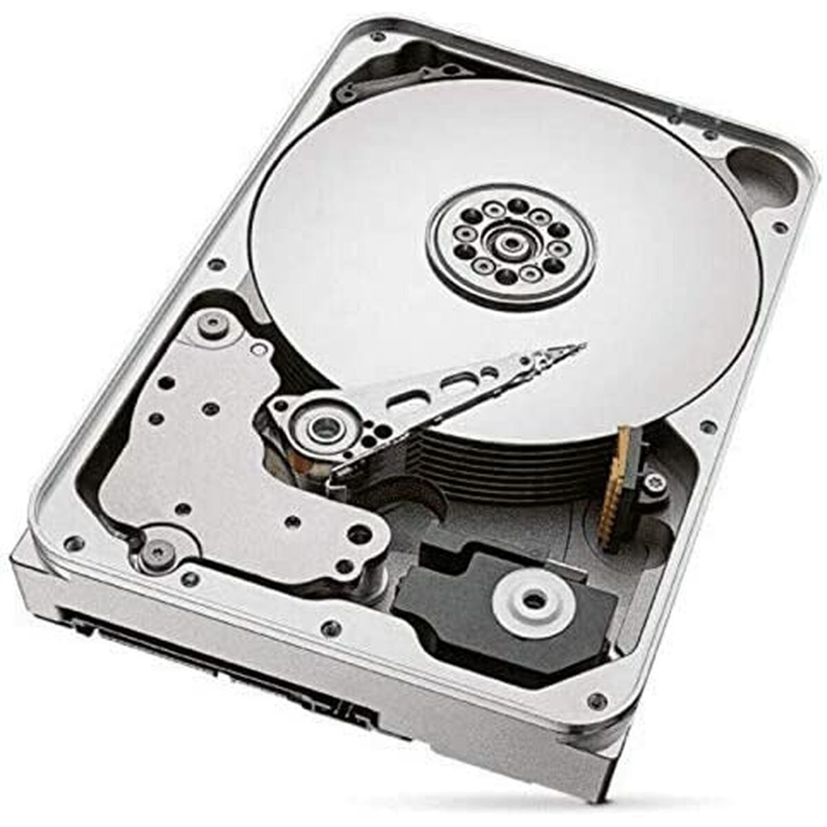 Hard Disk Seagate IronWolf 12 TB - Disponibile in 3-4 giorni lavorativi