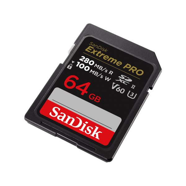 Scheda Di Memoria SD SanDisk SDSDXEP-064G-GN4IN 64 GB - Disponibile in 3-4 giorni lavorativi