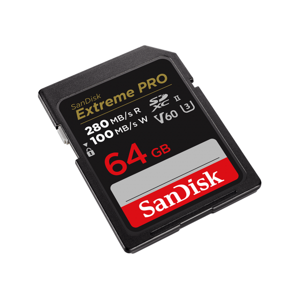 Scheda Di Memoria SD SanDisk SDSDXEP-064G-GN4IN 64 GB - Disponibile in 3-4 giorni lavorativi