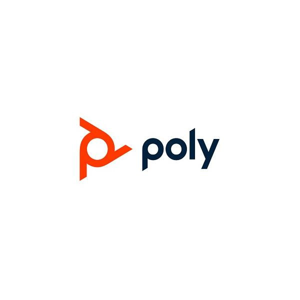 Supporto da Soffitto per Proiettore Poly 875L2AA - Disponibile in 3-4 giorni lavorativi