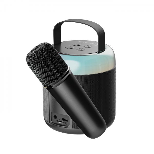 Techmade Speaker Karaoke Black - Disponibile in 2-3 giorni lavorativi