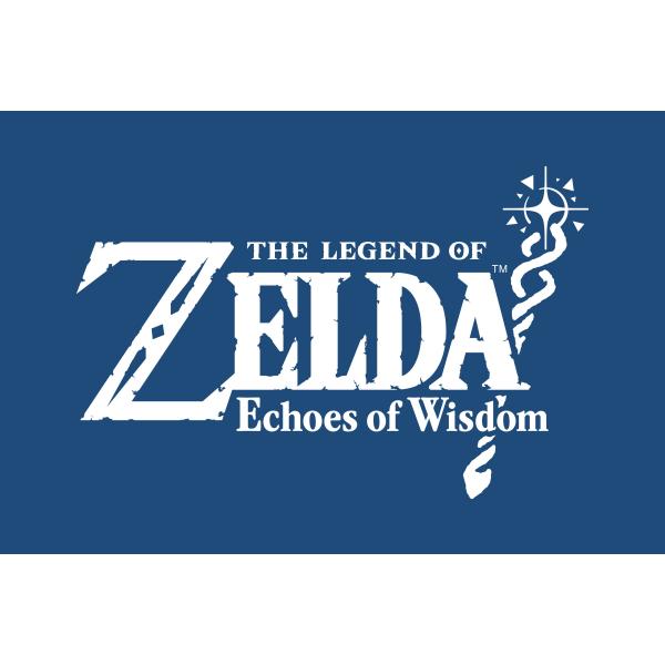 Switch The Legend of Zelda: Echoes of Wisdom - Disponibile in 2-3 giorni lavorativi