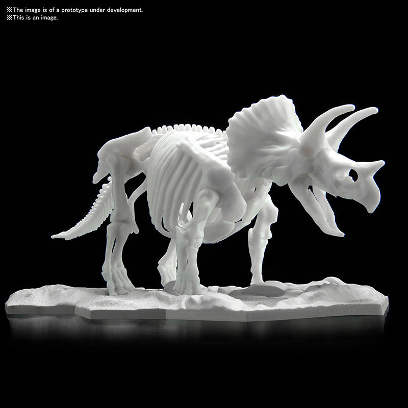 BANDAI DINOSAUR LIMEX SKELETON TRICERATOPS 16cm - Disponibile in 2/3 giorni lavorativi Bandai