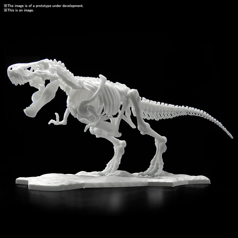 BANDAI DINOSAUR LIMEX SKELETON TYRANNOSAURUS 21cm - Disponibile in 2/3 giorni lavorativi Bandai