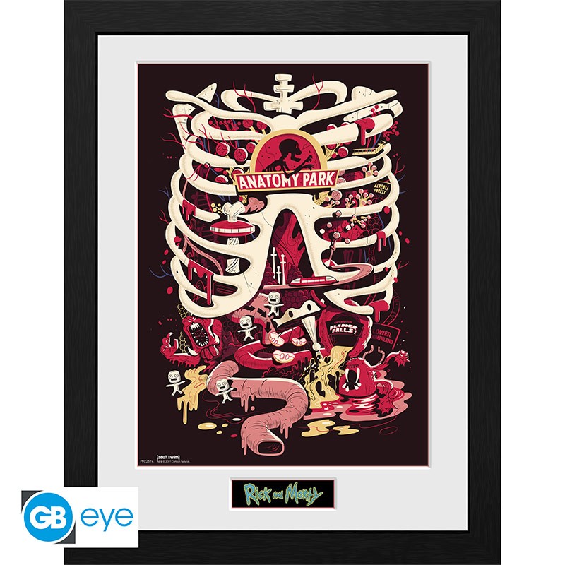 ABYSTYLE RICK AND MORTY - Poster incorniciato: "Anatomy Park" (30x40) - Disponibile in 2/3 giorni lavorativi Abystyle