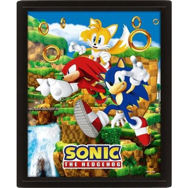 PYRAMID SONIC THE HEDGEHOG (CATCHING RINGS) FRAMED 3D - Disponibile in 2/3 giorni lavorativi Pyramid