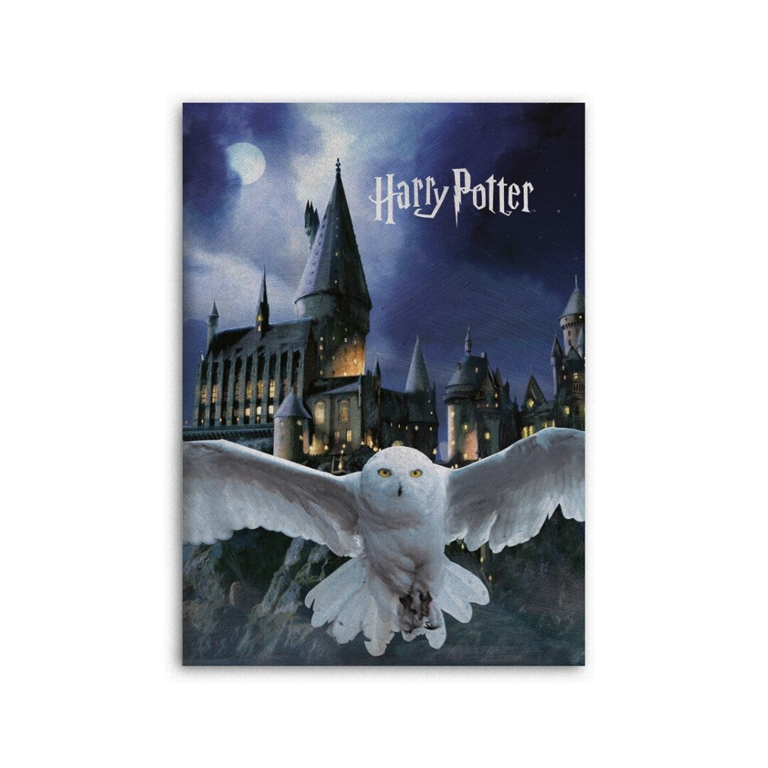 HARRY POTTER - Coperta in pile: "Hedwig" (100x140 cm) - Disponibile in 2/3 giorni lavorativi GED