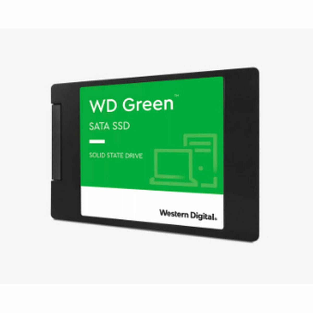 Hard Disk SSD Western Digital WDS100T3G0A 1 TB SSD - Disponibile in 3-4 giorni lavorativi