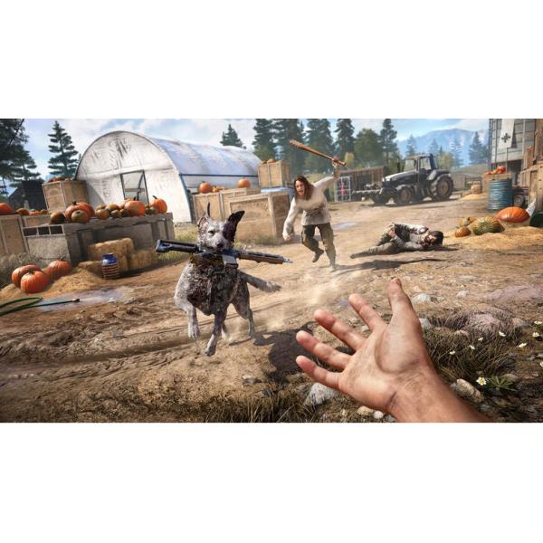 PS4 Far Cry 5 - Disponibile in 2/3 giorni lavorativi