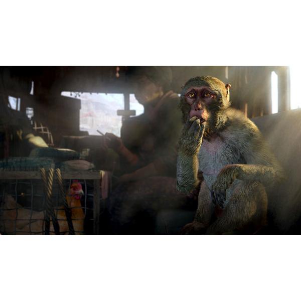 PS4 Far Cry 4 - Disponibile in 2/3 giorni lavorativi