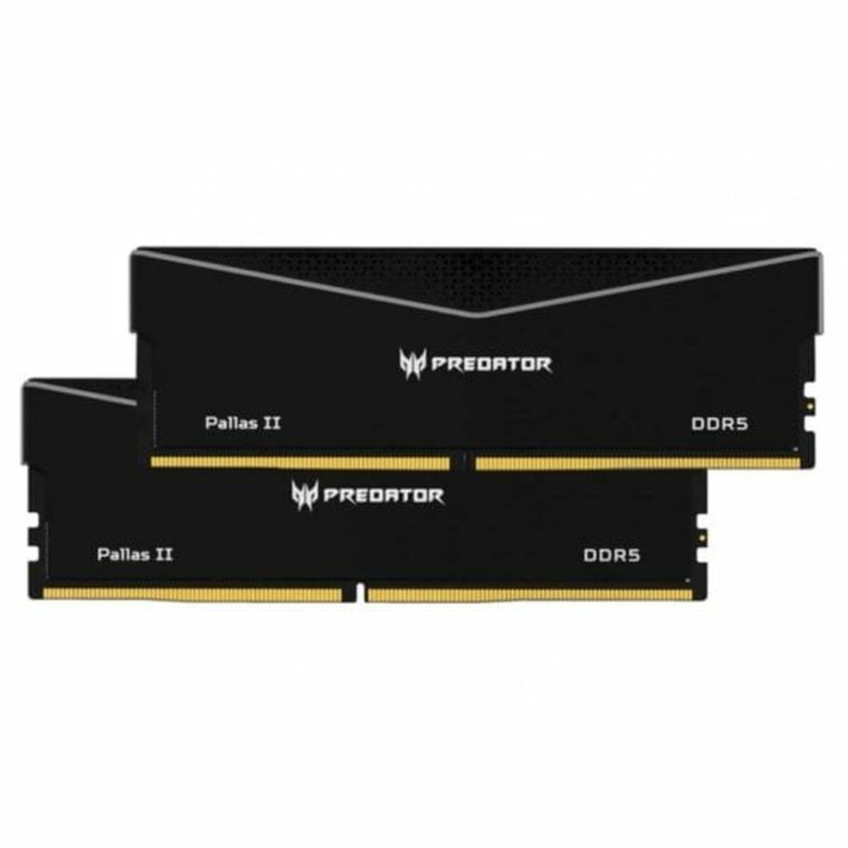 Memoria RAM Predator BL.9BWWR.437 - Disponibile in 3-4 giorni lavorativi