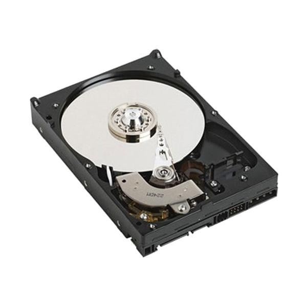 Hard Disk Dell NPOS 3,5" 1 TB 7200 rpm - Disponibile in 3-4 giorni lavorativi Dell