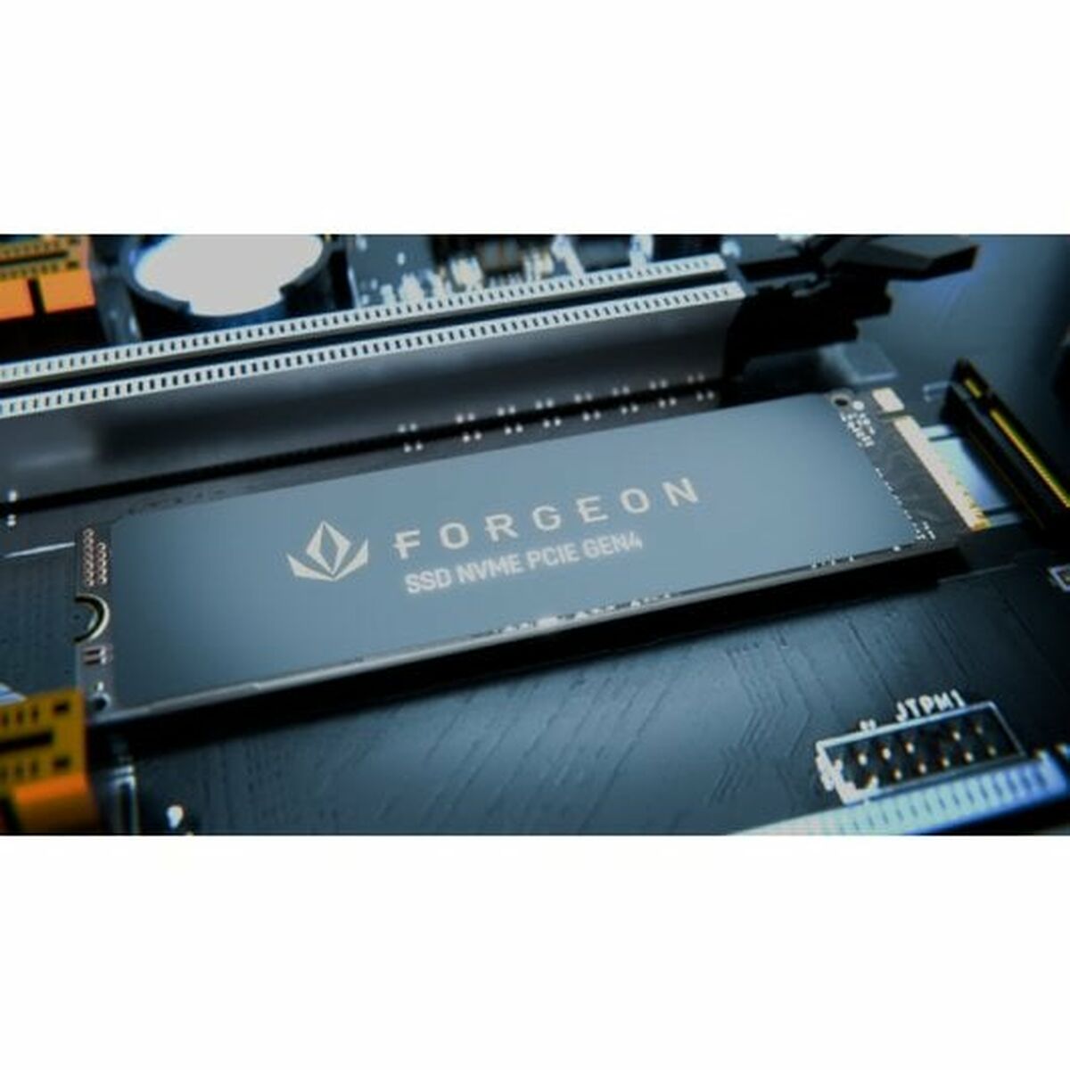 Hard Disk Forgeon 2 TB SSD - Disponibile in 3-4 giorni lavorativi