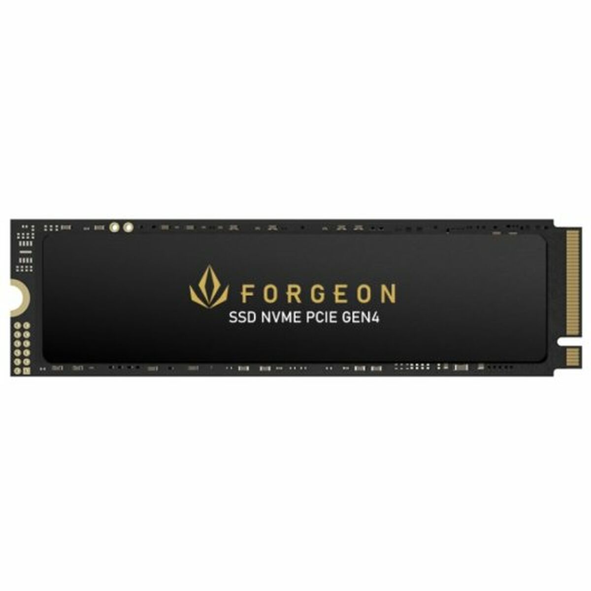 Hard Disk Forgeon 4 TB SSD - Disponibile in 3-4 giorni lavorativi