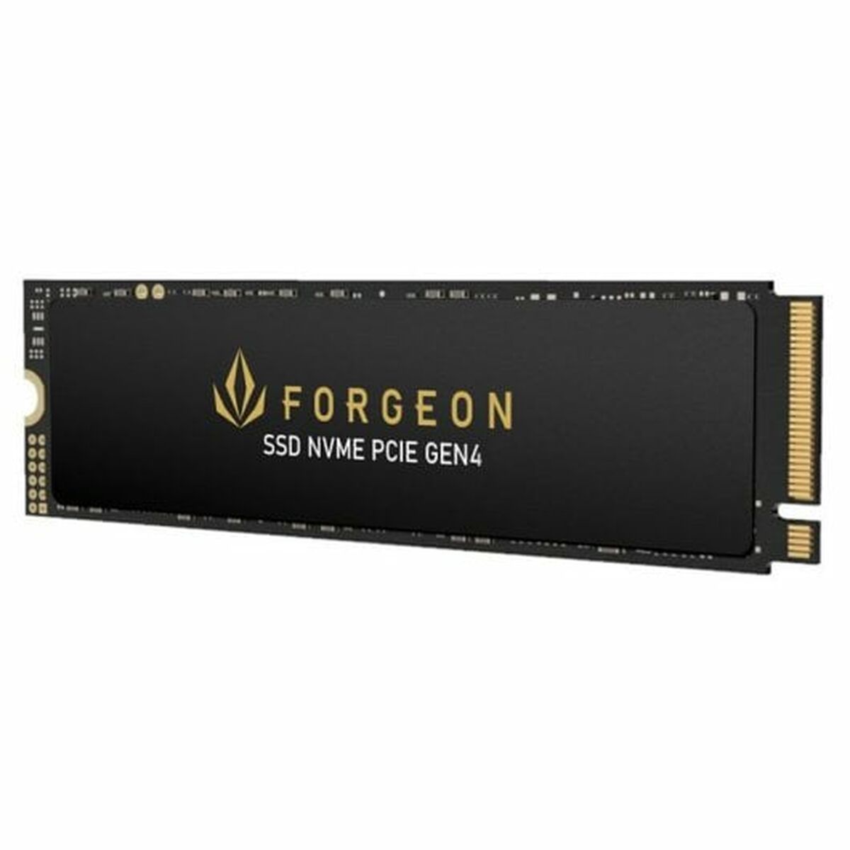 Hard Disk Forgeon 4 TB SSD - Disponibile in 3-4 giorni lavorativi