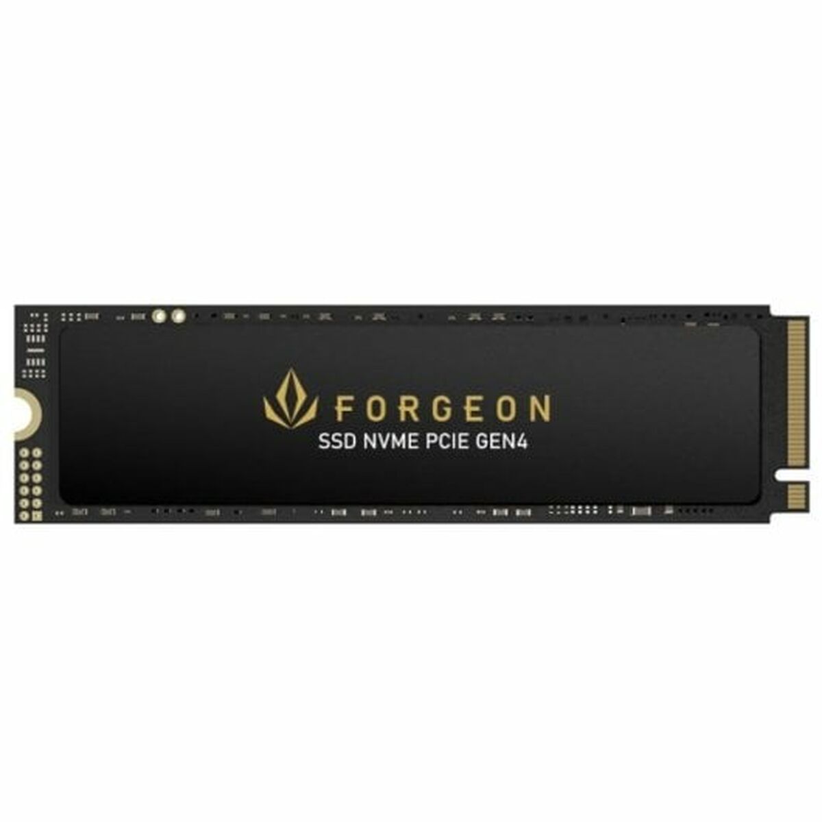 Hard Disk Forgeon 2 TB SSD - Disponibile in 3-4 giorni lavorativi