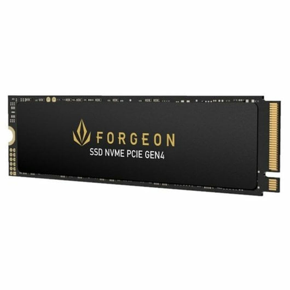 Hard Disk Forgeon 2 TB SSD - Disponibile in 3-4 giorni lavorativi