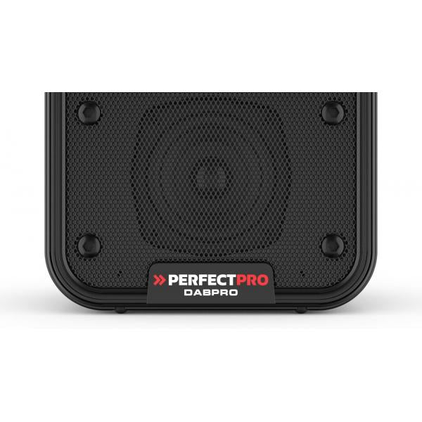 Perfectpro DABPRO Portatile Digitale Nero - Disponibile in 6-7 giorni lavorativi