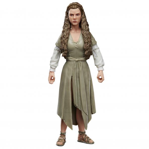 Action figure / Statue HASBRO STAR WARS: RETURN OF THE JEDI - BLACK SERIES - PRINCESS LEILA FIGURE 15CM - Disponibile in 2/3 giorni lavorativi Hasbro