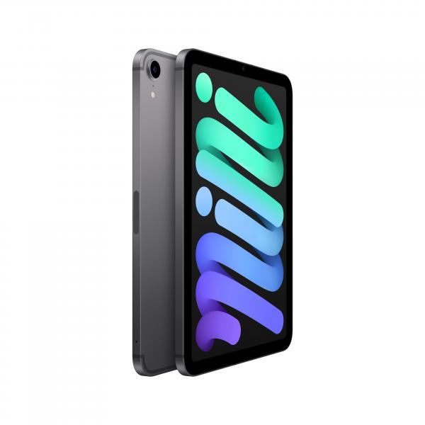 Apple iPad mini 5G TD-LTE & FDD-LTE 256 GB 21,1 cm (8.3") Wi-Fi 6 (802.11ax) iPadOS 15 Grigio - Disponibile in 6-7 giorni lavorativi