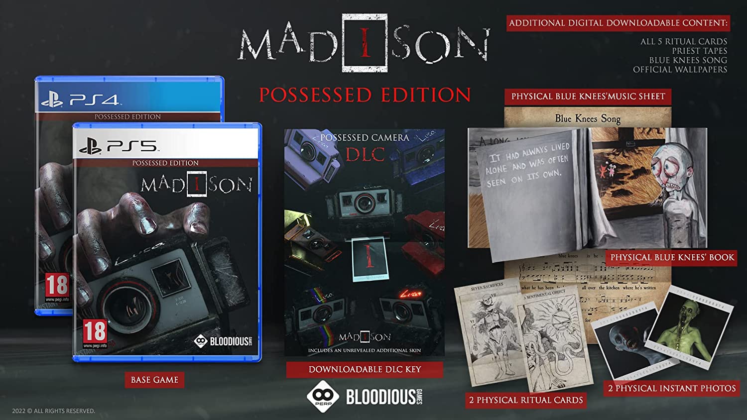 PS4 Madison Possessed Edition EU - Usato garantito Disponibilità immediata EU